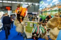 Ferienmesse Wien 2025